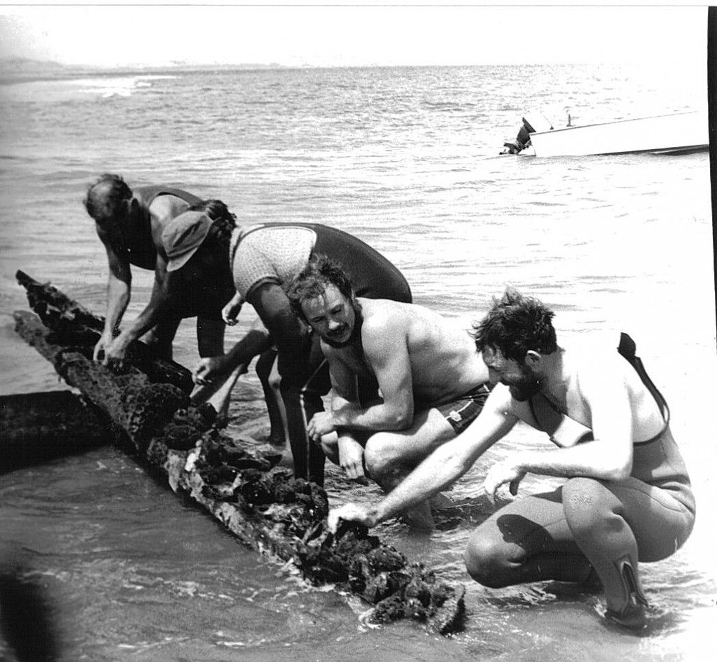 Découverte de l'épave en 1982 − photo Dargaville Museum, Northland, NZ