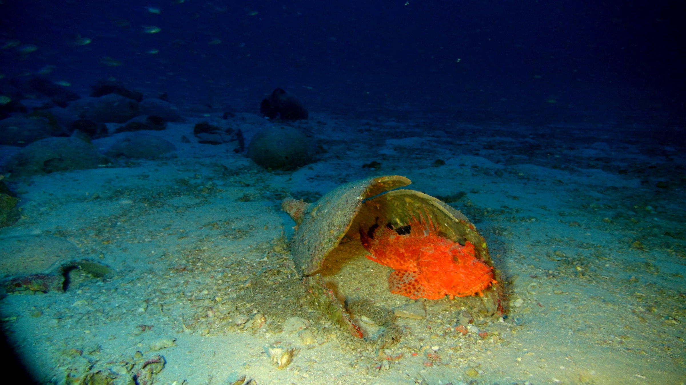 Poisson dans une des amphores − Projet Groplan